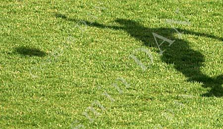Poli II Timisoara - CSM Rm. Valcea