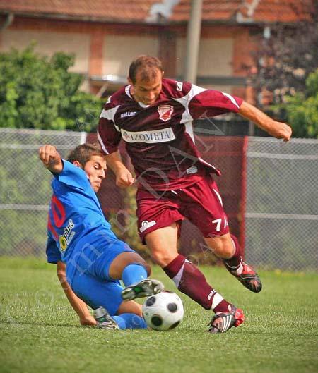 gheorghe gosa, catalin bucur