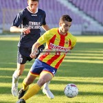 ripensia-ghiroda-radu cristian