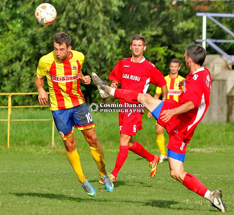 ripensia-becicherec-2997 - raul briciu