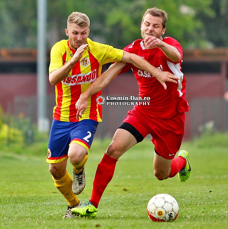 ripensia-becicherec-3021 - flavius petrisor