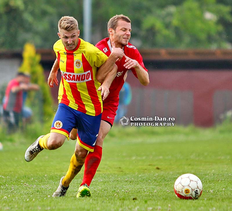 ripensia-becicherec-3022 - flavius petrisor