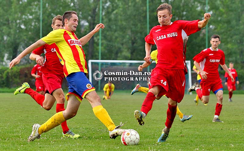 ripensia-becicherec-3033 - remus barburescu