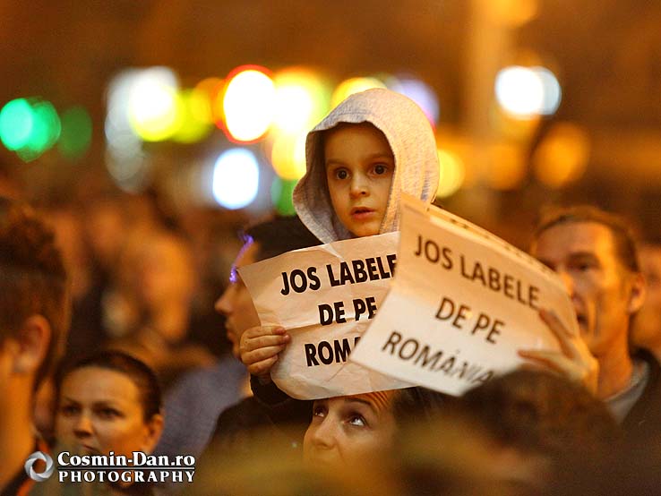 Miting de solidaritate cu diaspora - Timisoara