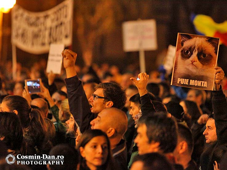 Miting de solidaritate cu diaspora - Timisoara